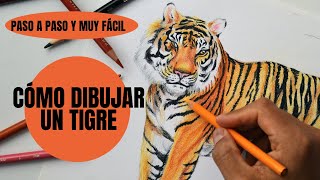 Cómo Dibujar Un Tigre Paso a Paso [upl. by Orabel]