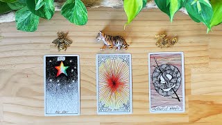 🤯 MIND BLOWING 🤯 MESSAGE YOU ARE MEANT TO HEAR 🤯 tarot card reading✨timeless✨pick a card✨ [upl. by Ylac]