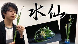 【生け花】初心者でも簡単！水仙の生け方を徹底解説！！百均の器で簡単な作例も２作ご紹介【いけばな】 [upl. by Kelsey]