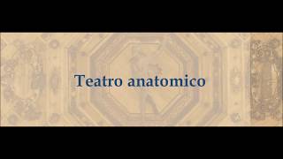 Teatro anatomico [upl. by Rhiana471]