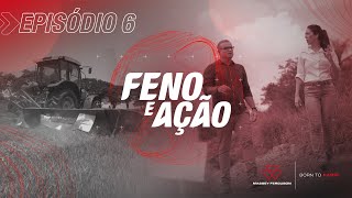 Episódio 6  Feno e Ação  Por dentro das variedades de forrageiras [upl. by Elaweda]