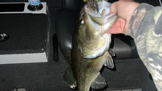 Lake Wedowee Fishing Report  March 25 2023 [upl. by Ellehcan]