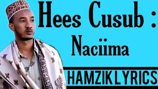 XARIIR AXMED HEES CUSUB NACIIMA OFFICIAL VIDEO HD LYRICS 2020 [upl. by Cadmann988]