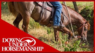 Clinton Anderson How to Stop Your Horse From Tripping  Downunder Horsemanship [upl. by Aldredge276]