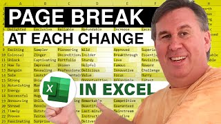 Excel  Automatic Insert Page Break at Each Change in Customer Episode 1629 [upl. by Pergrim476]