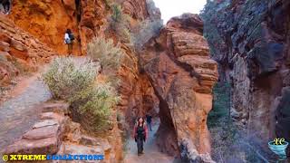 Walter’s Wiggles on Angels Landing Trail Utah [upl. by Nowell231]