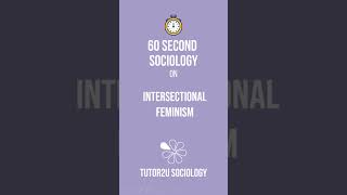 Intersectional Feminism  60 Second Sociology Sociological Theory and Debates [upl. by Youlton]