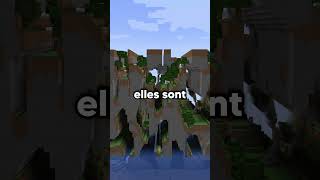 à la fin comment il devait être trop heureux mdr minecraft [upl. by Gaiser]