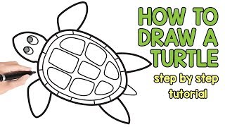 How to Draw a Turtle  Step by Step Drawing Tutorial [upl. by Artap]