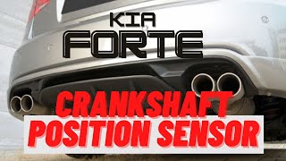 How To Replace Crankshaft Position Sensor CKP Kia Forte 2012 [upl. by Lagasse]