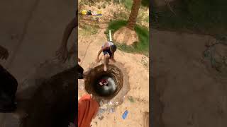 Human daredevils how did they all fit inyoutubeshorts viralvideo [upl. by Codie377]