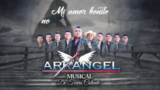 Como Pude Enamorarme Karaoke  Arkangel Musical de Tierra Caliente [upl. by Htebazil]