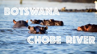 Chobe River Botswana  Chobe National Park [upl. by Zwiebel]