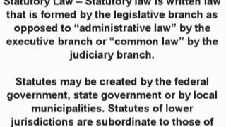 Statutory Law Business amp Contract Law  What is the definition  Finance Dictionary [upl. by Modestia]