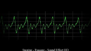 😴 Snoring Sound Effect  Russare Effetto Sonoro HD 💤 [upl. by Neeli]