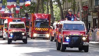 Lyon Défilé militaire 14 juillet 2019 [upl. by Ynnek377]