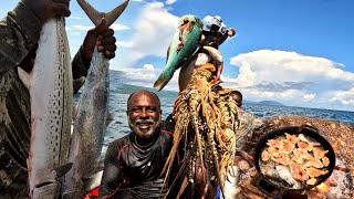 can all of this cause from overfishing are the fish just migrate🤔 big king fish Spanish mackerel [upl. by Odragde]