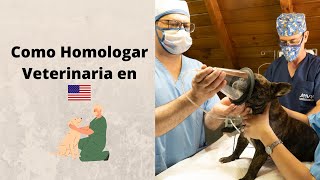 Como Homologar Veterinaria en Estados Unidos [upl. by Leik217]