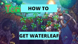 HOW TO GET WATERLEAF IN TERRARIA 14 [upl. by Ravid159]