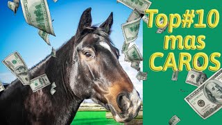 Top10 Caballos mas caros de la historia Caballos mas caros del Mundo y de todos los tiempos [upl. by Okoyik986]