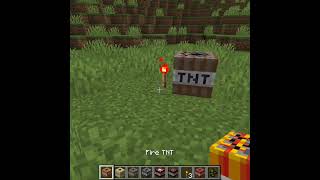 Minecraft Tnt Vs Villager 183 Short [upl. by Etiam476]