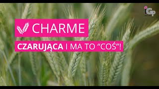 🌱 Pszenżyto ozime CHARME [upl. by Maite]