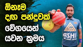 How to Ball Faster as a Spinner in Cricket  Fielding JayA [upl. by Eramat]