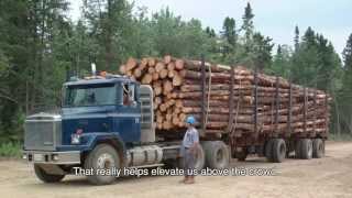 The Forestry Industry in Atlantic Canada [upl. by Ermey]