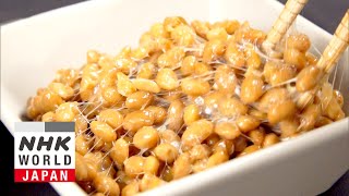 The Power of Natto a Japanese Superfood  Medical Frontiers [upl. by Alimat]