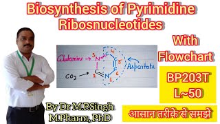 Biosynthesis of Pyrimidine Ribosnucleotides  UMP CTP dUMP dTMP  Biochemistry  BP203T  L50 [upl. by Ursula]