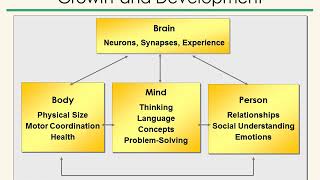 Developmental Assessment Gateway to Early Intervention [upl. by Katharyn]