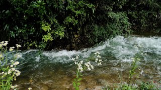 Relaxing river sounds for sleeping  Nature river sound in the forest  White noise  ASMR [upl. by Russ]