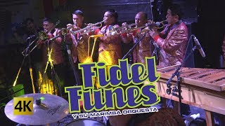 Fidel Funes y su Marimba Orquesta  36 Años 4K [upl. by Israeli917]