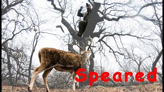 Deadly Intentions  Spear Hunter [upl. by Aramac]