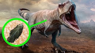 11 Datos impactantes sobre los dinosaurios que eran desconocidos [upl. by Infeld972]