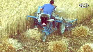 BCS 3 Wheel Reaper Binder Wheat Harvesting Solution [upl. by Miksen]