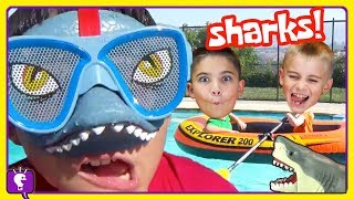 Shark Adventures COMPILATION and Play with The HobbyKids [upl. by Selby]