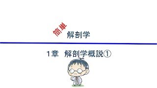 簡単解剖学 １章 解剖学概説①解剖学とは・人体の区分 [upl. by Kinnon]