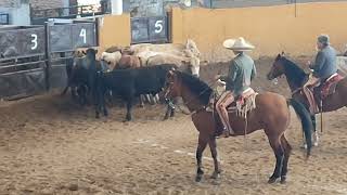 Charreada del 102 aniversario de la Asociación de Charros de Jalisco 14 SEP 2022 [upl. by Wiggins]