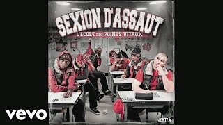 Sexion dAssaut  Intro en résumé Audio [upl. by Suolkcin]