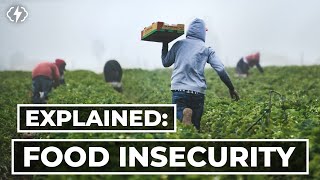 The Truth About Food Insecurity [upl. by Sillert]