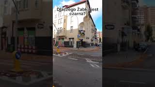 Czarna Żabka  dlaczego zabka cmentarz czarny [upl. by Oneil]