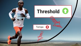 Lactate Threshold vs Tempo Running  The SCIENCE of Training Zones [upl. by Edecrem580]