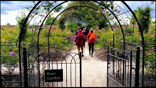 Rose Garden at Dunham Massey Gardens ✨🌹✨ [upl. by Alil674]