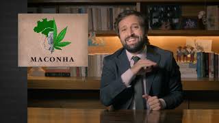 GREG NEWS  MACONHA [upl. by Anil]