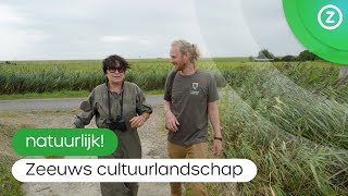 Natuurlijk Zeeuws cultuurlandschap [upl. by Johna]