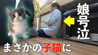 400万回再生娘に内緒で子猫を飼ってたら号泣した [upl. by Eveneg]