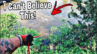 Most Unbelievable Magnet Fishing Catch  BIGGEST EVER [upl. by Rbma]