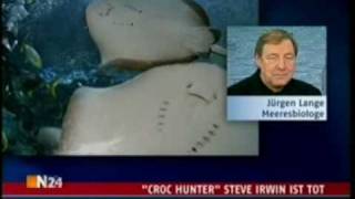 quotcroc hunterquot Steve Irwin ist tot [upl. by Rizzi]