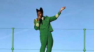 NOID Live  Tyler The Creator  Brooklyn Army Terminal NYC 1122024 [upl. by Anirba]